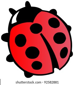 Vector illustration of a ladybug. Coccinellidae. Cartoon Ladybug