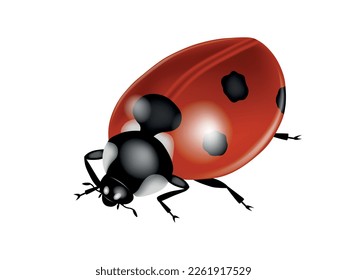 Vector illustration of a ladybug crawling.