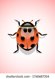 Vector illustration. Ladybug isolated. Glass beetle.