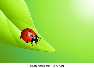 Vector illustration of a ladybug on a leaf