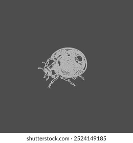 Vector illustration of ladybug in photocopy effect style. Insect in grunge dotted print on isolated dark background. Suitable for 80-90s pop art or collage design.