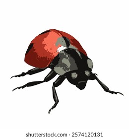 A vector illustration of a ladybug showing its black head and legs prominently at the front.