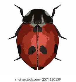 A vector illustration of a ladybug viewed from above, featuring detailed black spots on its shiny red body.