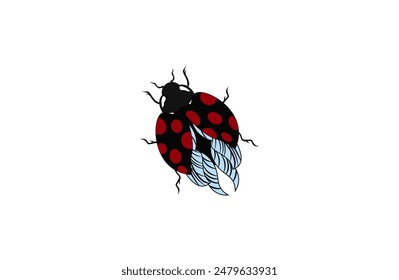 Vector illustration of a ladybug with wings