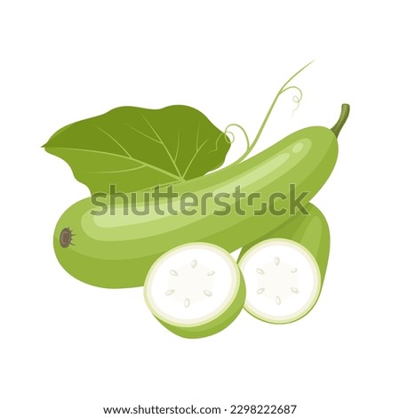 Vector illustration, Lagenaria siceraria, known as bottle gourd or Lauki, isolated on white background. Foto stock © 