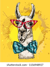 Vector illustration lama head in fashionable glasses and a bow tie. Llama or alpaca smiling bright color sketch for print and design. Cute mammal animal drawing