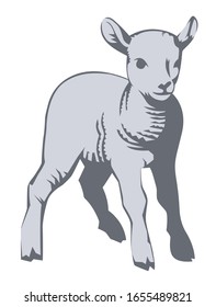a vector illustration of a lamb