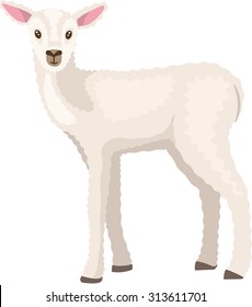 Vector Illustration of a Lamb