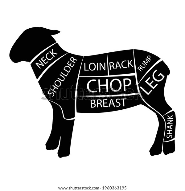 Vector Illustration Lamb Cuts Diagramm Chart Stock Vector (Royalty Free ...