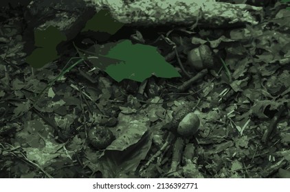 Vector illustration. Land in the forest. Leaves, old dry branches and acorns on the ground. Illustration in lower color range. Green Earth. Nature and environment