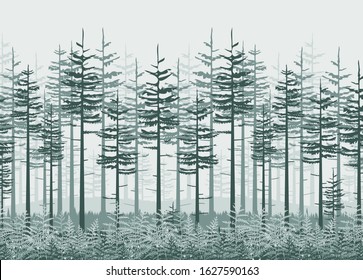 Vector illustration of landscape background with fern forest. Nature background, invitation template with trees, leaf decoration.