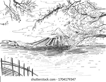 Vector illustration of a landscape background panorama of Japanese volcano, lake and sakura cherry in blossom. Vintage hand drawn engraving etched style.