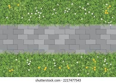 Vector illustration. Landscape design. Grass with stone path. Top view. Walkway landscape with stone path. View from above.