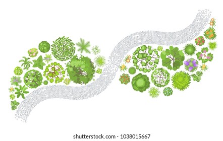 Vector illustration. Landscape design. Top view. Path, trees and flowers. View from above.