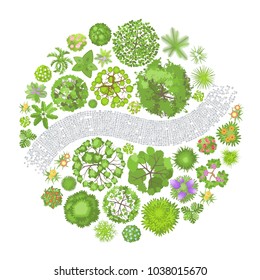 Vector illustration. Landscape design. Top view. Path, trees and flowers. View from above.