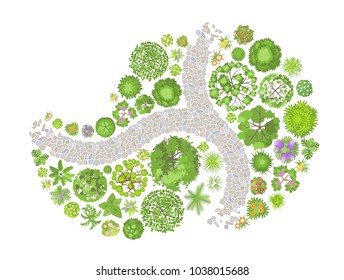 Vector illustration. Landscape design. Top view. Path, trees and flowers. View from above.