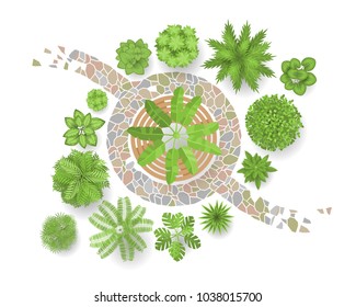 Vector illustration. Landscape design. Top view. Path, trees and plants. View from above.