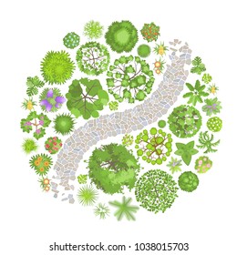 Vector illustration. Landscape design. Top view. Path, trees and flowers. View from above.