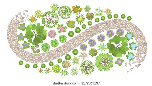 Vector illustration. Landscape design. Top view. Path and flower beds. View from above.