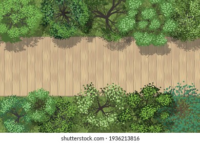 Vector illustration. Landscape design. Top view. Wooden bridge and trees. View from above.