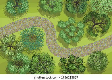 Vector illustration. Landscape design. Top view. Path, trees and flowers. View from above.