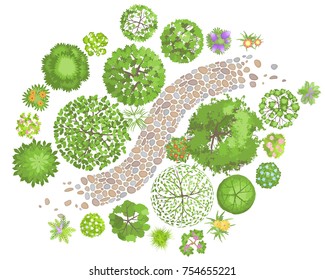 Vector illustration. Landscape design. Top view. Path, trees and flowers. View from above.