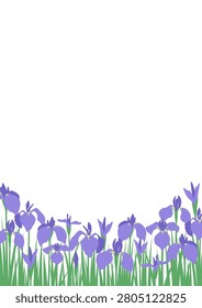 Vector illustration of a landscape with many purple irises in bloom, A4 portrait.