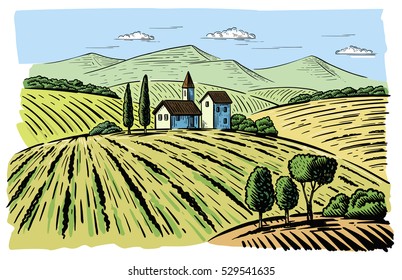 Vector illustration landscape nature with agrarian fields