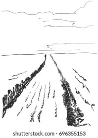 Vector illustration landscape nature with agrarian fields. Sketch
