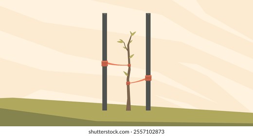 Vector illustration. Landscape on the theme of tree growing. The process of tree growth. From sprout to strong tree. Backgrounds for farming, gardening and plant care.