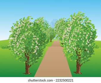 Ilustración vectorial con un paisaje de una carretera con árboles floridos en los lados. Es primavera.