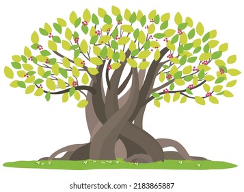 Vector illustration of a large banyan tree