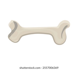 vector illustration of a large bone, prehistoric animal bone. white background.