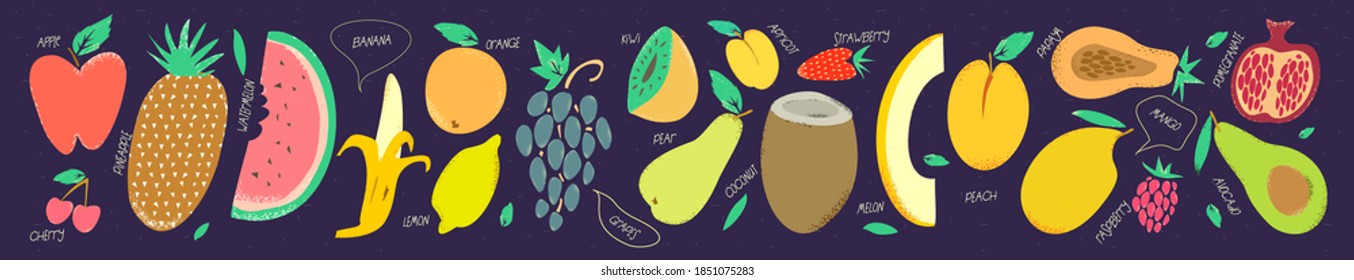 Vector illustration. Large collection of fruit in Doodle style. Exotic fruits and berries.