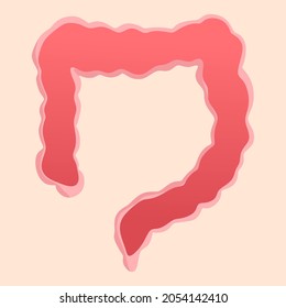 Ilustración vectorial del intestino grueso con estructura interna visible, adecuada para la publicidad de productos sanitarios y educativos
