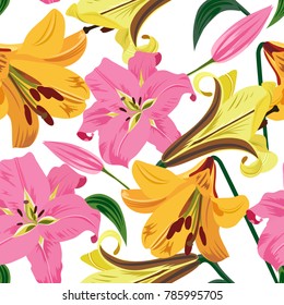 Vector illustration of large lilies seamless pattern. Colorful flowers on white background.