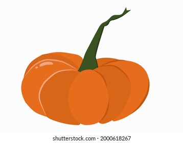 Vector illustration of a large orange pumpkin on a white background