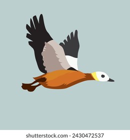 Vector illustration of large red duck flies on light background