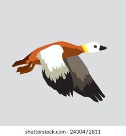 Vector illustration of large red duck flies with its wings down on a light background