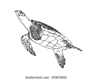 Vector illustration. large sea turtle. Black on white