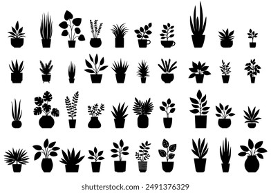 Vector illustration. Large set of flower plants in pots. Silhouette big set.	
