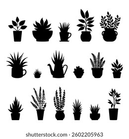 Vector illustration. Large set of flower plants in pots. Silhouette big set.	
