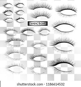 Vector illustration large set of natural lashes and mascara long volume fluffy and rare for upper and lower lashes with eyeliner for natural eye makeup isolated on transparent background