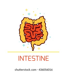 Vector illustration of large and small intestine made in cartoon style. Body organs anatomy icon. Human internal organ symbol. Medical concept.