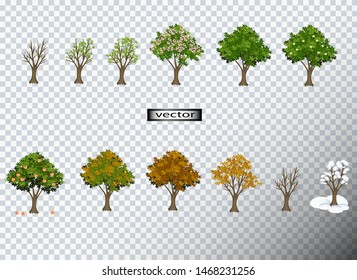 Vector illustration of a large tree set, seasons spring autumn summer Ziva by season trees isolated on a transparent background. Yellow, green leaves flowers and fruits, white snow on the branches