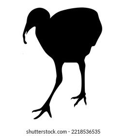 Vector illustration of a large turkey on a white background. Silhouette of a large farm animal. Great for posters, poultry farm logos.