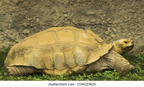 Vector Illustration Of A Large Turtle In A Grass Enclosure In A Zoo. Tortoise In The Grass By The Stone Wall. Detailed Vector Illustration Of A Turtle. Animal, Reptile, Fauna, Herbivore.