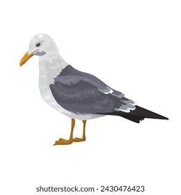 Vector illustration of large wild seagull stands on a white background