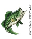 Vector Illustration of Largemouth Bass Fish