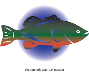 vector illustration of a largemouth bass fish